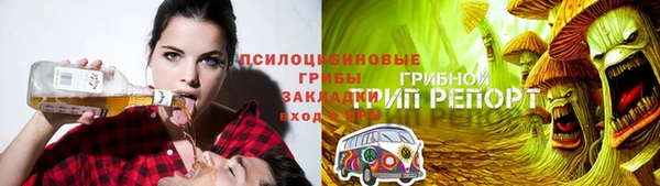 соль ск Алексин