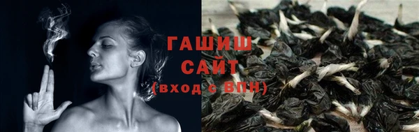 соль ск Алексин