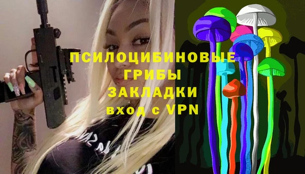 PSILOCYBIN Алзамай