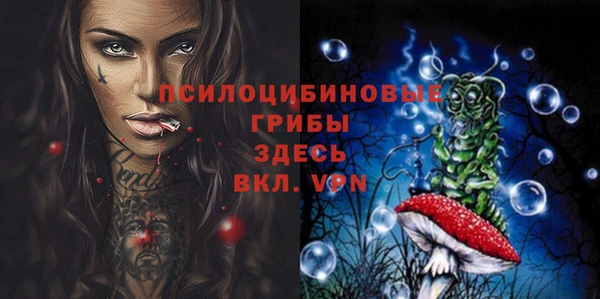 соль ск Алексин