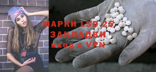 PSILOCYBIN Алзамай